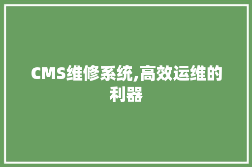CMS维修系统,高效运维的利器 必应SEO