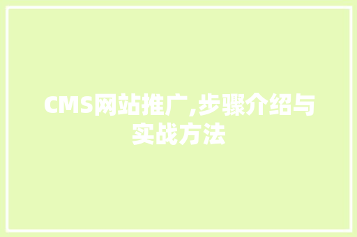 CMS网站推广,步骤介绍与实战方法 神马SEO