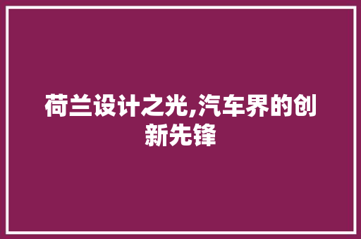 荷兰设计之光,汽车界的创新先锋 荷兰设计之光,汽车界的创新先锋 网站建设公司
