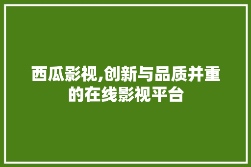 西瓜影视,创新与品质并重的在线影视平台