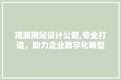 观澜网站设计公司,专业打造，助力企业数字化转型 观澜网站设计公司,专业打造，助力企业数字化转型 百度SEO
