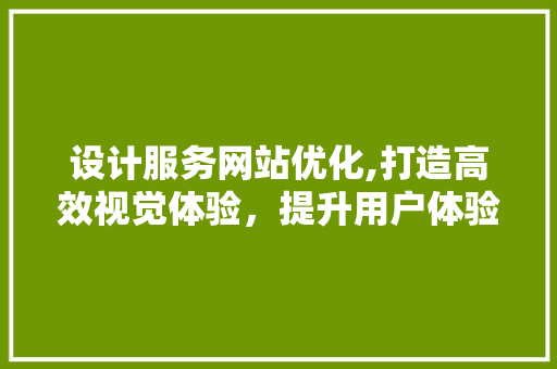 设计服务网站优化,打造高效视觉体验，提升用户体验的方法 设计服务网站优化,打造高效视觉体验，提升用户体验的方法 神马SEO