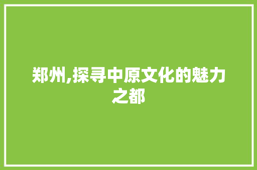郑州,探寻中原文化的魅力之都 郑州,探寻中原文化的魅力之都 SEO关键词