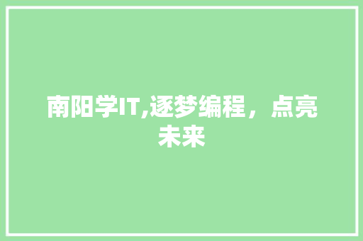 南阳学IT,逐梦编程，点亮未来 必应SEO