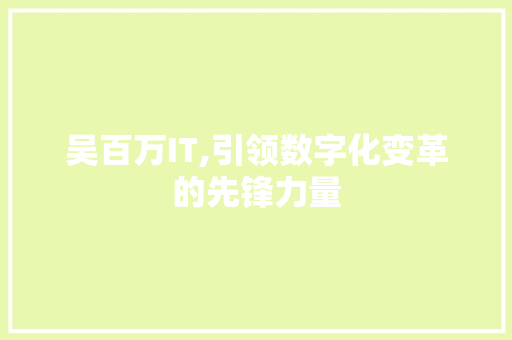 吴百万IT,引领数字化变革的先锋力量