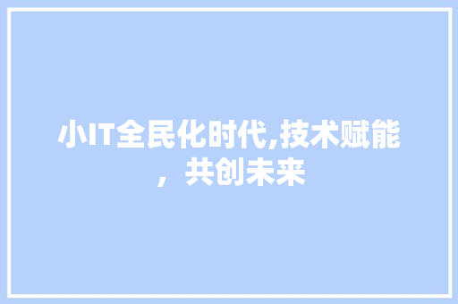 小IT全民化时代,技术赋能，共创未来