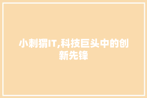 小刺猬IT,科技巨头中的创新先锋 必应SEO