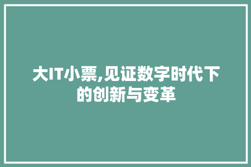 大IT小票,见证数字时代下的创新与变革