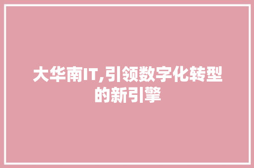 大华南IT,引领数字化转型的新引擎