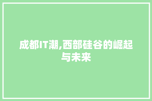 成都IT潮,西部硅谷的崛起与未来