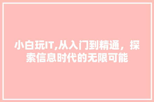 小白玩IT,从入门到精通，探索信息时代的无限可能 必应SEO