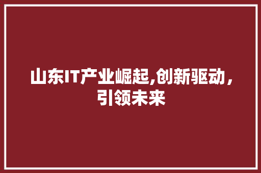 山东IT产业崛起,创新驱动，引领未来 百度SEO
