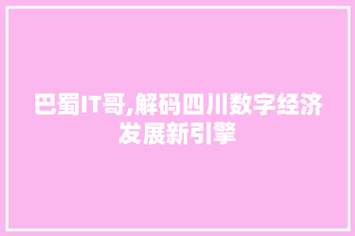 巴蜀IT哥,解码四川数字经济发展新引擎 搜狗SEO