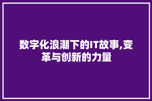 数字化浪潮下的IT故事,变革与创新的力量