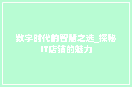 数字时代的智慧之选_探秘IT店铺的魅力 必应SEO