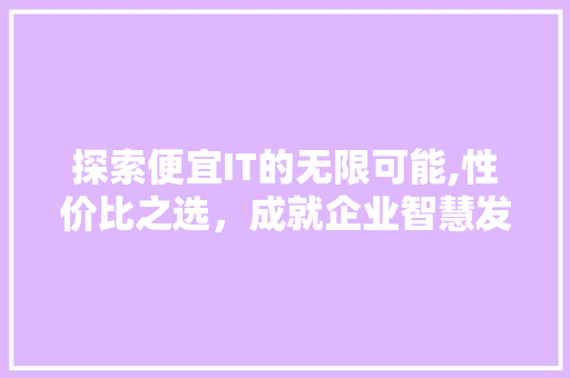 探索便宜IT的无限可能,性价比之选，成就企业智慧发展