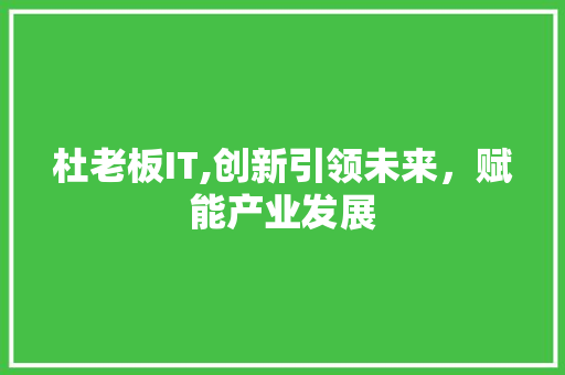 杜老板IT,创新引领未来，赋能产业发展