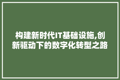 构建新时代IT基础设施,创新驱动下的数字化转型之路 SEO关键词