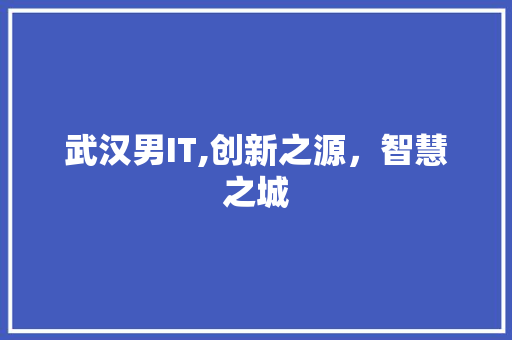 武汉男IT,创新之源，智慧之城
