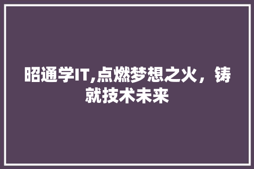 昭通学IT,点燃梦想之火，铸就技术未来