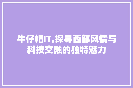 牛仔帽IT,探寻西部风情与科技交融的独特魅力 网站建设公司