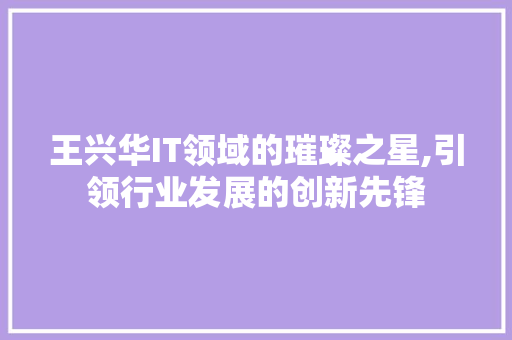 王兴华IT领域的璀璨之星,引领行业发展的创新先锋