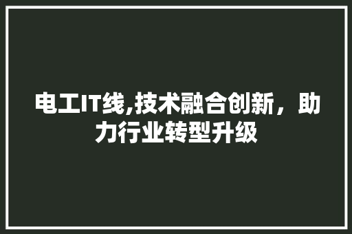 电工IT线,技术融合创新，助力行业转型升级 SEO关键词
