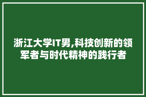 浙江大学IT男,科技创新的领军者与时代精神的践行者