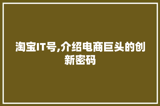 淘宝IT号,介绍电商巨头的创新密码