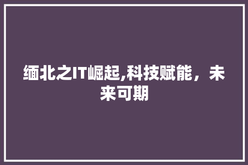 缅北之IT崛起,科技赋能，未来可期