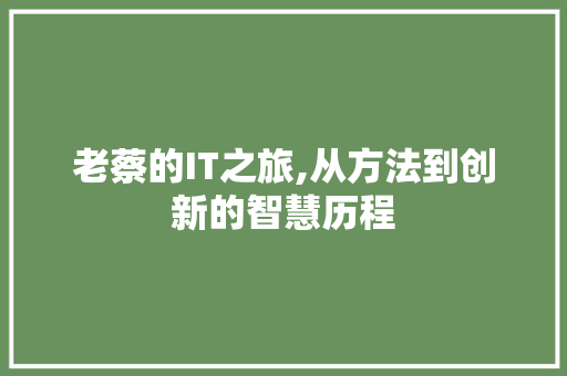 老蔡的IT之旅,从方法到创新的智慧历程