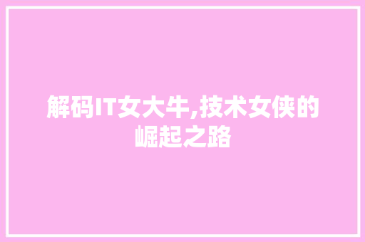 解码IT女大牛,技术女侠的崛起之路