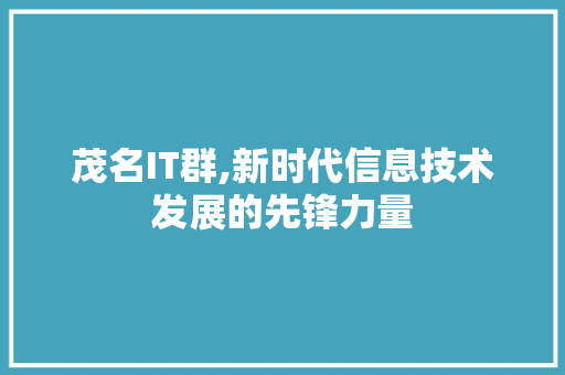 茂名IT群,新时代信息技术发展的先锋力量