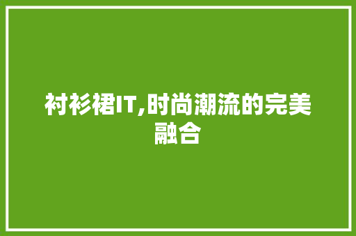 衬衫裙IT,时尚潮流的完美融合