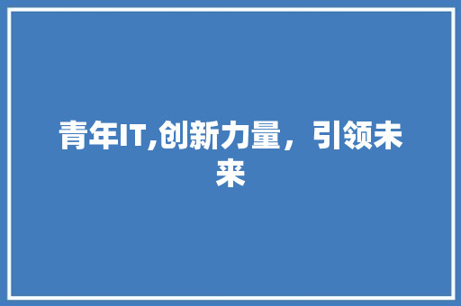 青年IT,创新力量，引领未来 百度SEO