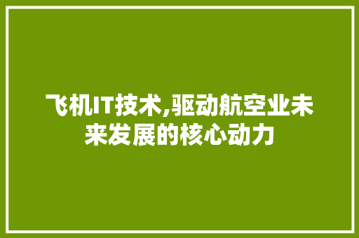 飞机IT技术,驱动航空业未来发展的核心动力 神马SEO