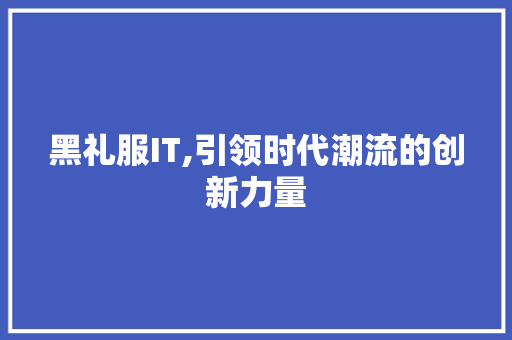 黑礼服IT,引领时代潮流的创新力量 必应SEO