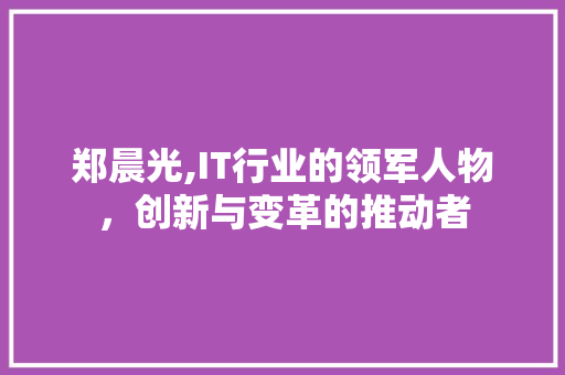 郑晨光,IT行业的领军人物，创新与变革的推动者