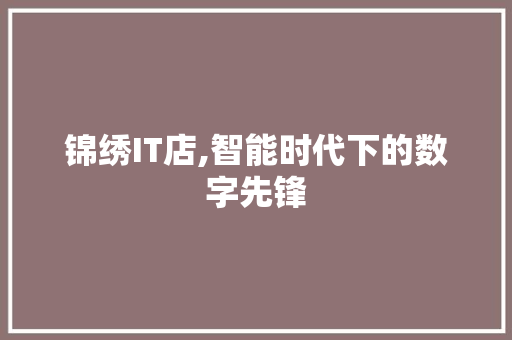 锦绣IT店,智能时代下的数字先锋