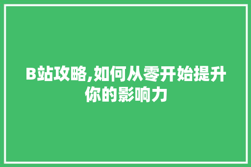 B站攻略,如何从零开始提升你的影响力