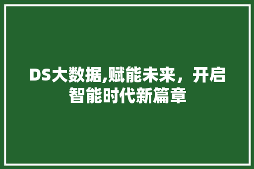DS大数据,赋能未来，开启智能时代新篇章 神马SEO