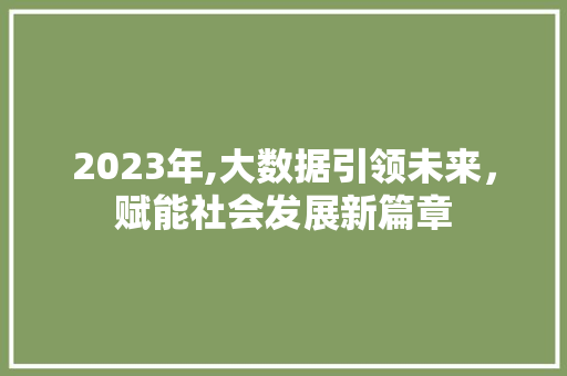 2023年,大数据引领未来，赋能社会发展新篇章 百度SEO