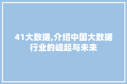 41大数据,介绍中国大数据行业的崛起与未来 网站建设公司