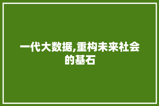 一代大数据,重构未来社会的基石 网站建设公司