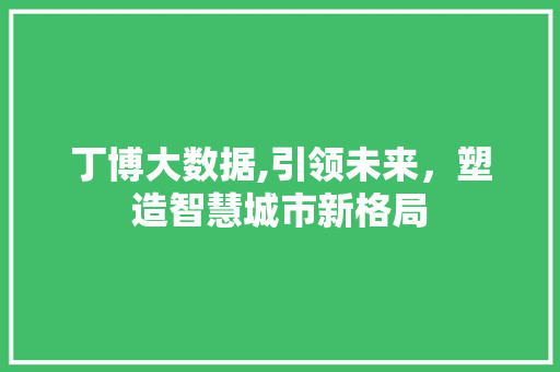 丁博大数据,引领未来，塑造智慧城市新格局 必应SEO