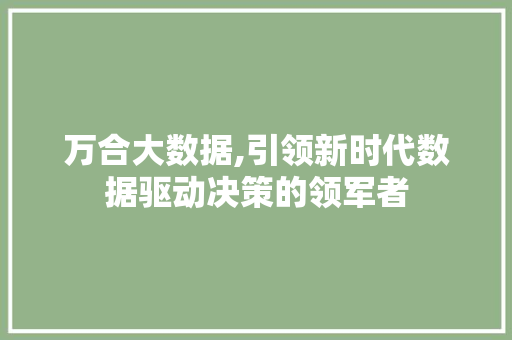 万合大数据,引领新时代数据驱动决策的领军者