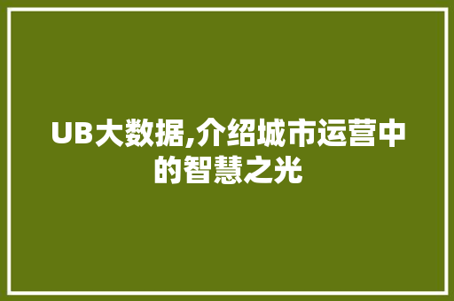 UB大数据,介绍城市运营中的智慧之光