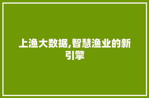 上渔大数据,智慧渔业的新引擎