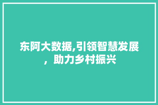 东阿大数据,引领智慧发展，助力乡村振兴