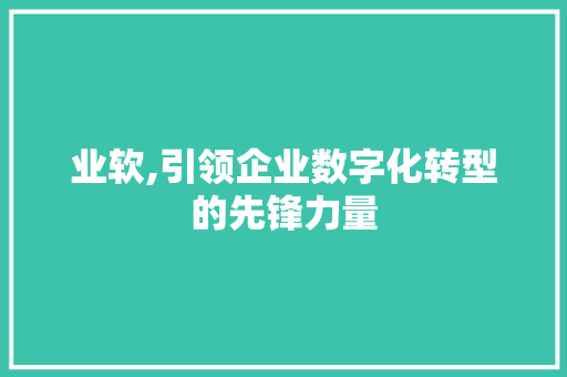 业软,引领企业数字化转型的先锋力量 SEO关键词